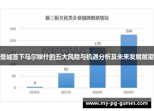 曼城签下马尔穆什的五大风险与机遇分析及未来发展展望